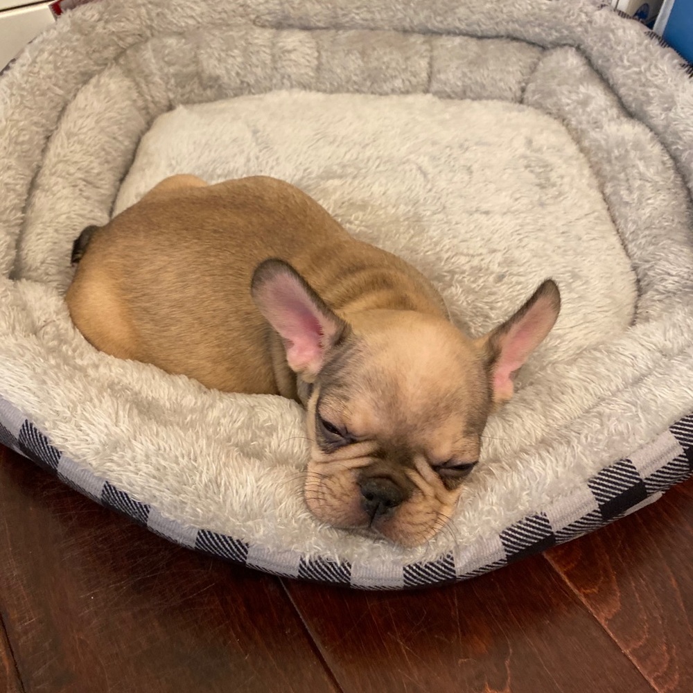 Meet your Posher, Noy